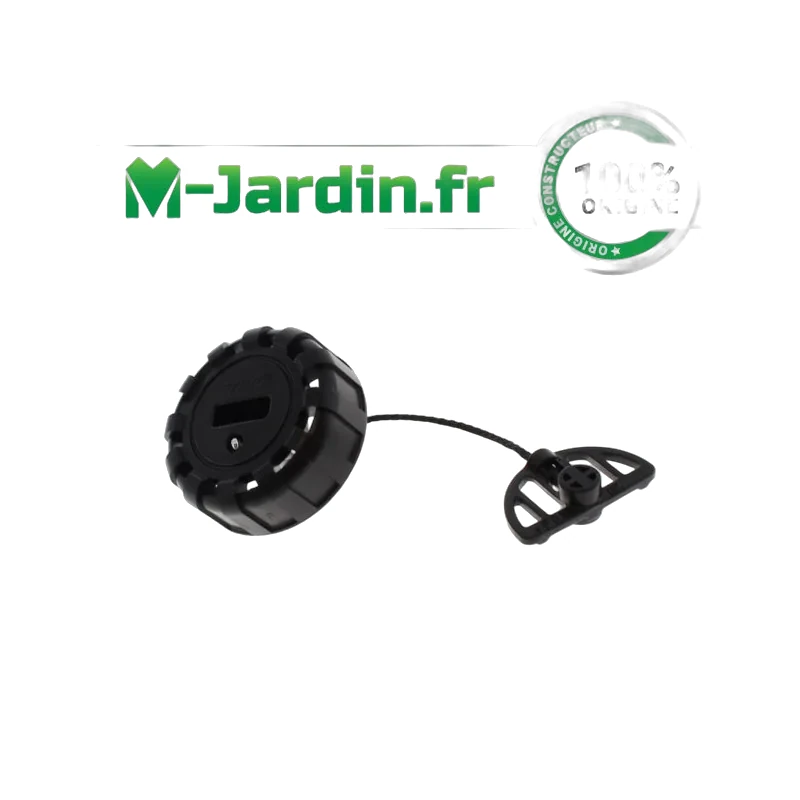 Altri componenti motore
