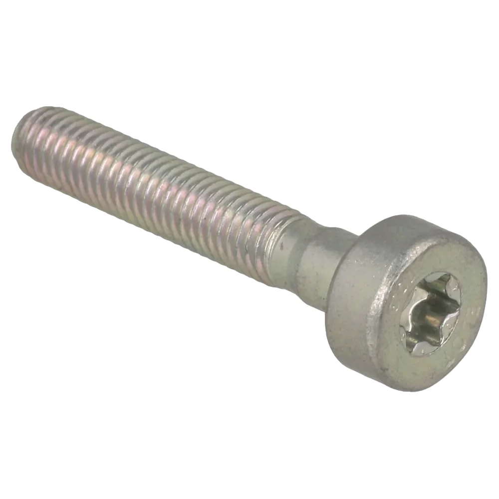 Stihl - 9022-346-1069 - Vite per testa cilindrica IS-M5x30