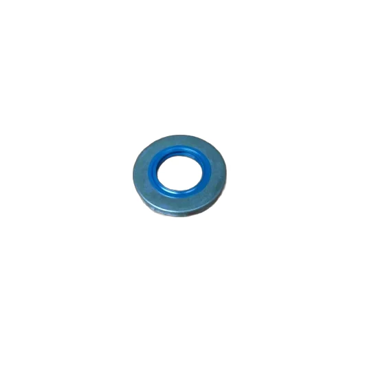 Paraolio