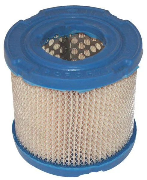 Briggs and Stratton - 393957S - Filtro dell'aria (4106)