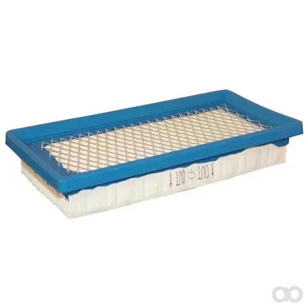 Briggs and Stratton - 494511S - Filtro a cartuccia (4145)