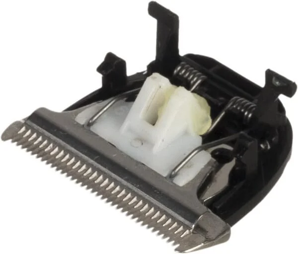 CLIPSTER