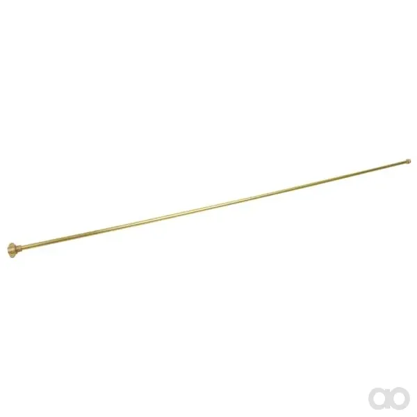 Gloria