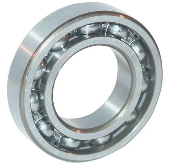 INA FAG