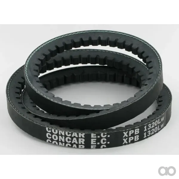 Maschio Gaspardo - F06010039R - Belt SPBX L=1320