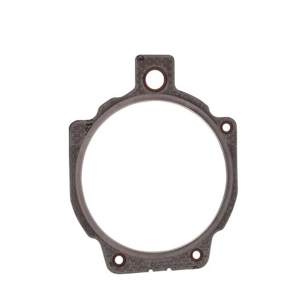 SDF - 00339006010 - Testata della pompa