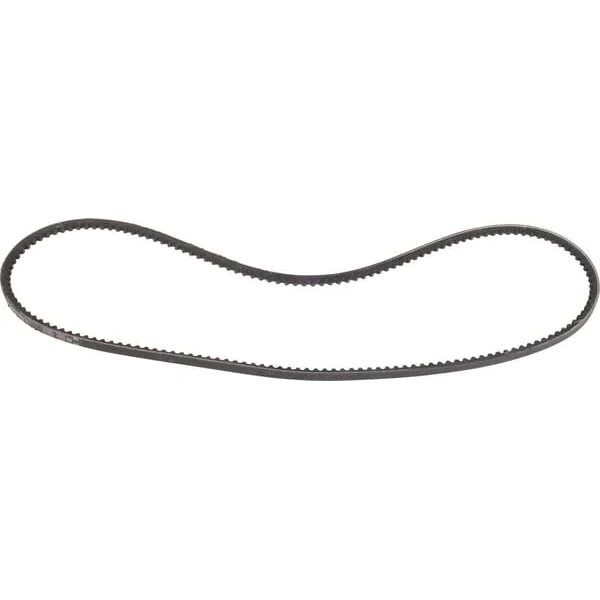 SDF - 241191070 - Cintura