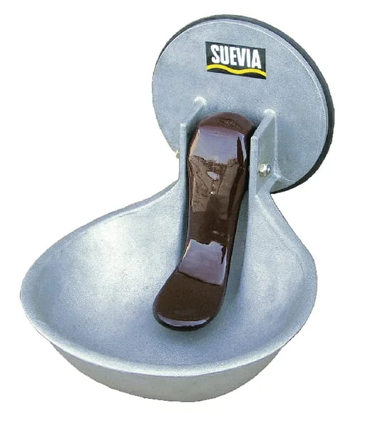 Suevia