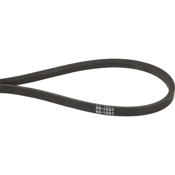 Toro - 991597 - Cingia V Toro