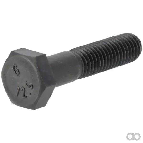 ZF