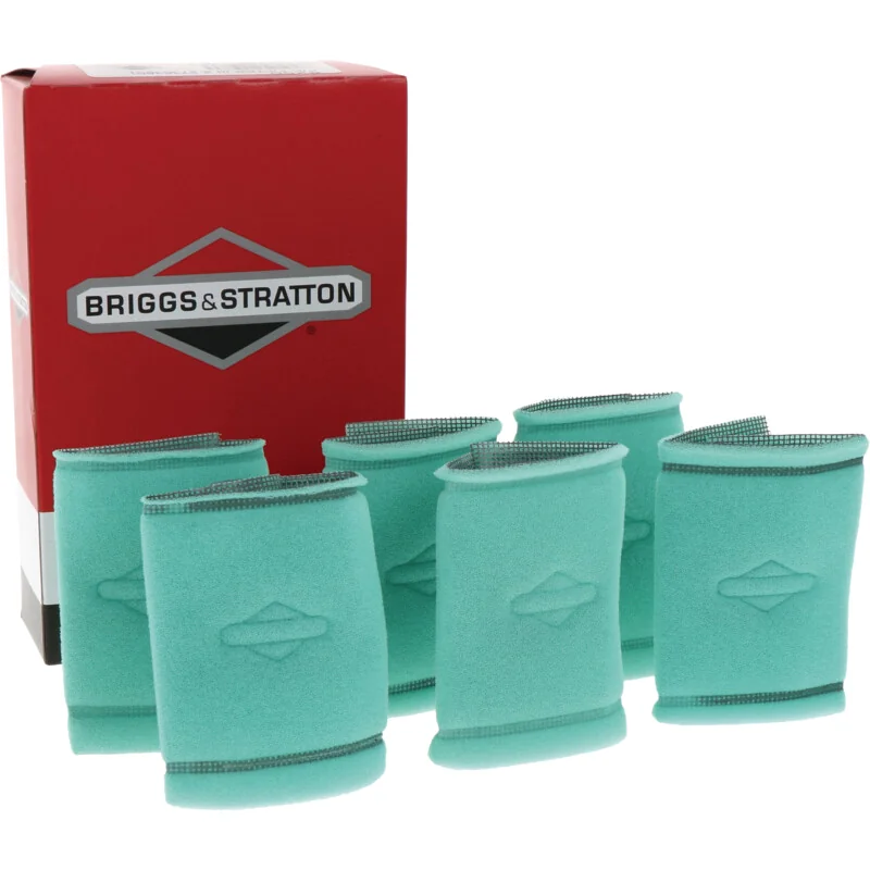 Briggs And Stratton