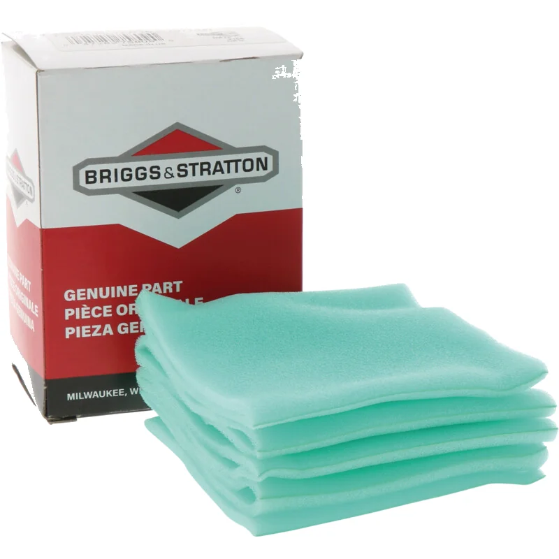 Briggs And Stratton