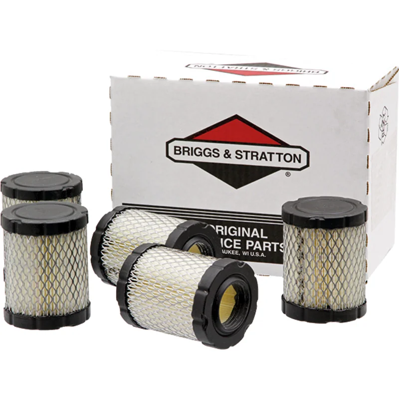 Briggs And Stratton
