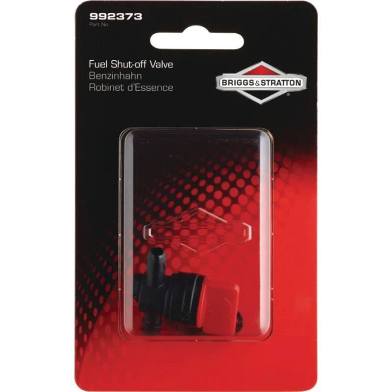 Briggs & Stratton