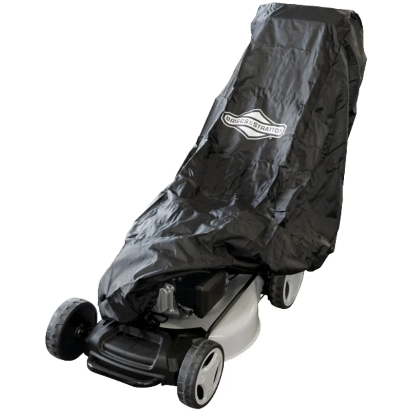 Briggs & Stratton