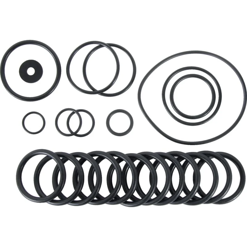 Annovi Reverberi - 1904 - Set di O-ring