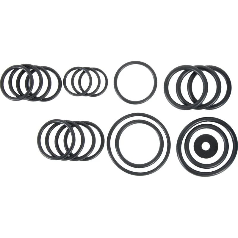 Annovi Reverberi - 1916 - Set di O-ring