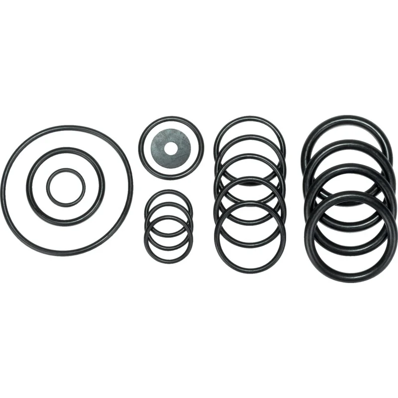 Annovi Reverberi - 1919 - Set di O-ring