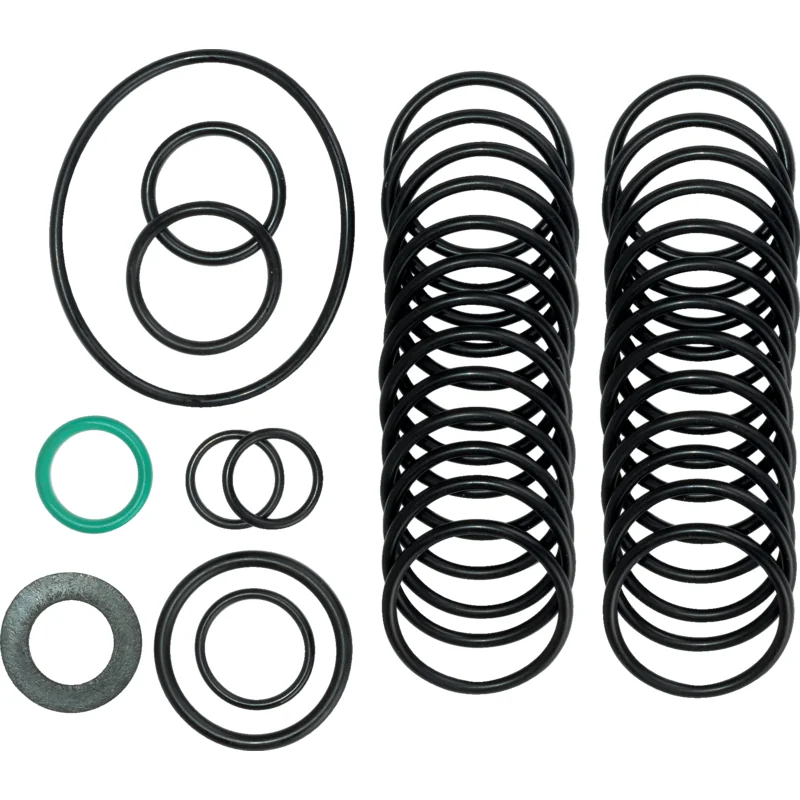 Annovi Reverberi - 42857 - Set di O-ring