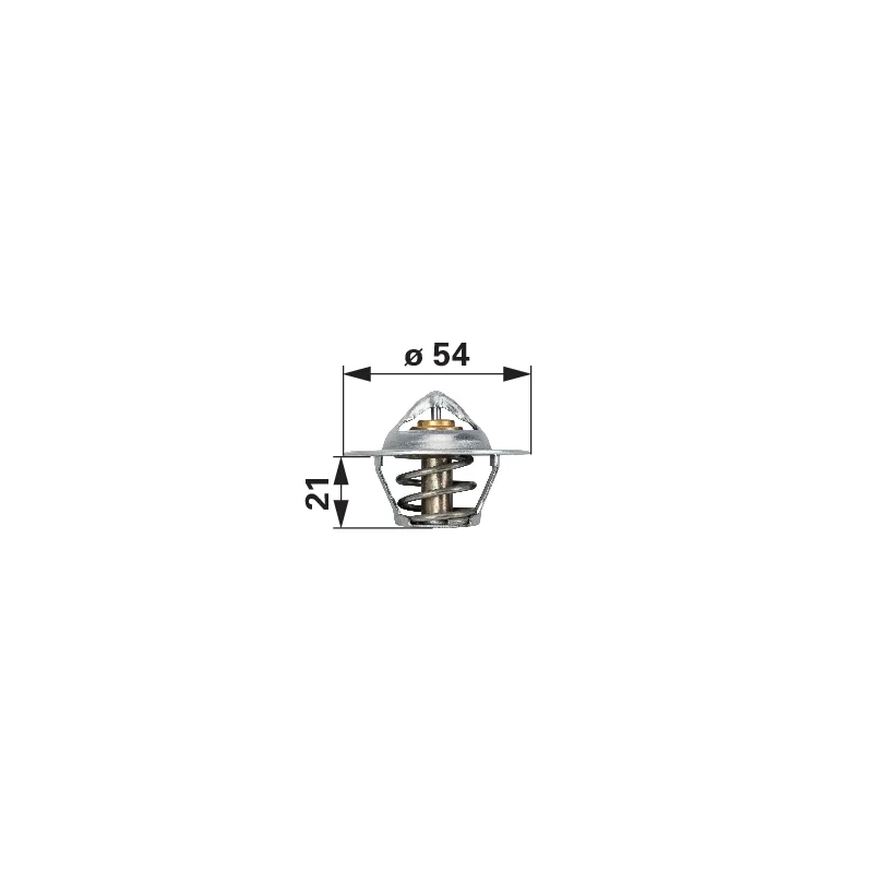 BORGWARNER - 3042303R92 - Termostato