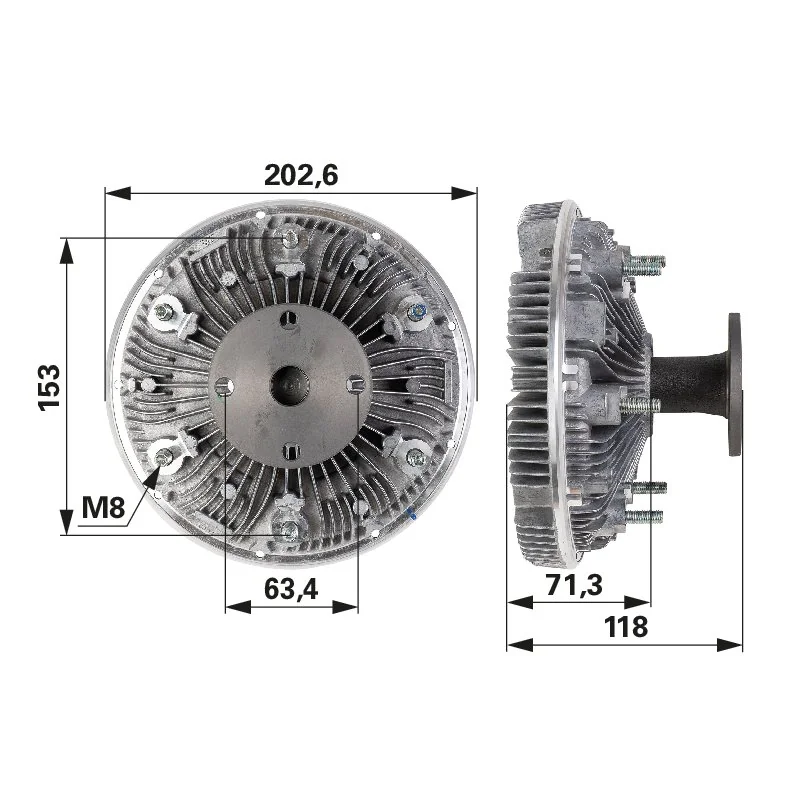 BORGWARNER - G718202040100 - Frizione ventola