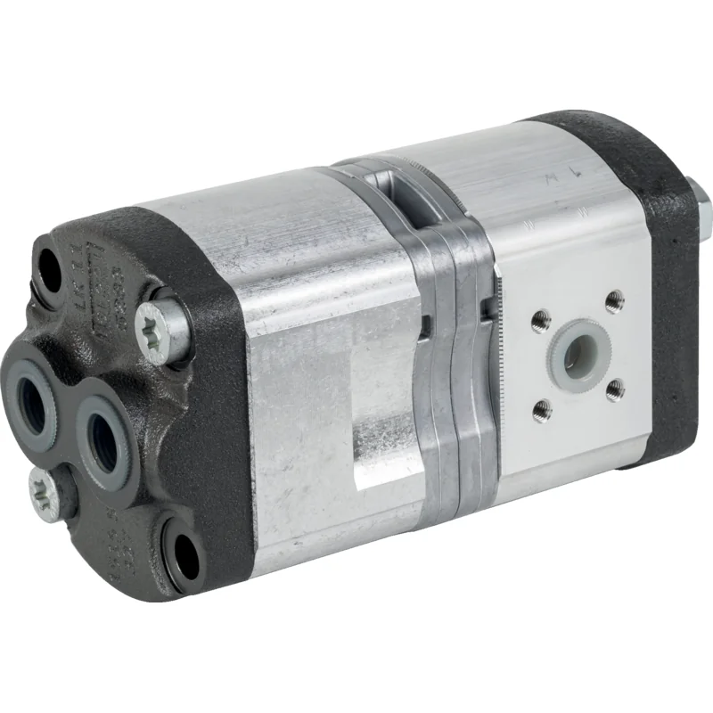 Bosch Rexroth - AZPFF-11-008/008LCN2002MX-S0173 - Pompa idraulica