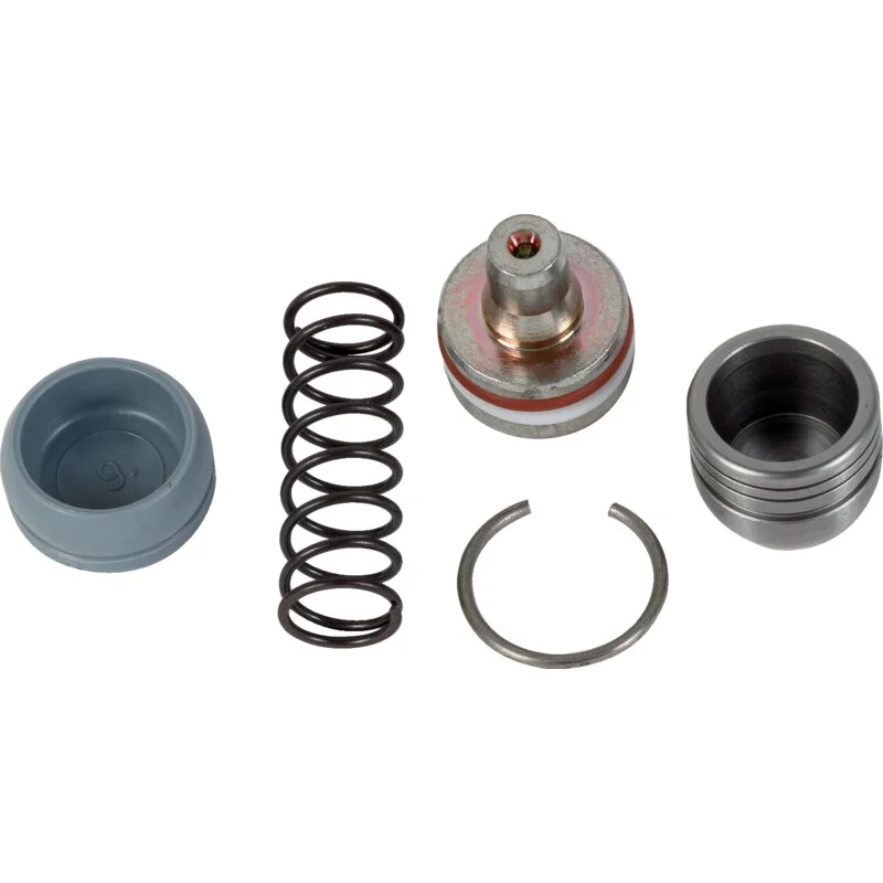 Bosch Rexroth - R917002987 - Kit di ricambi
