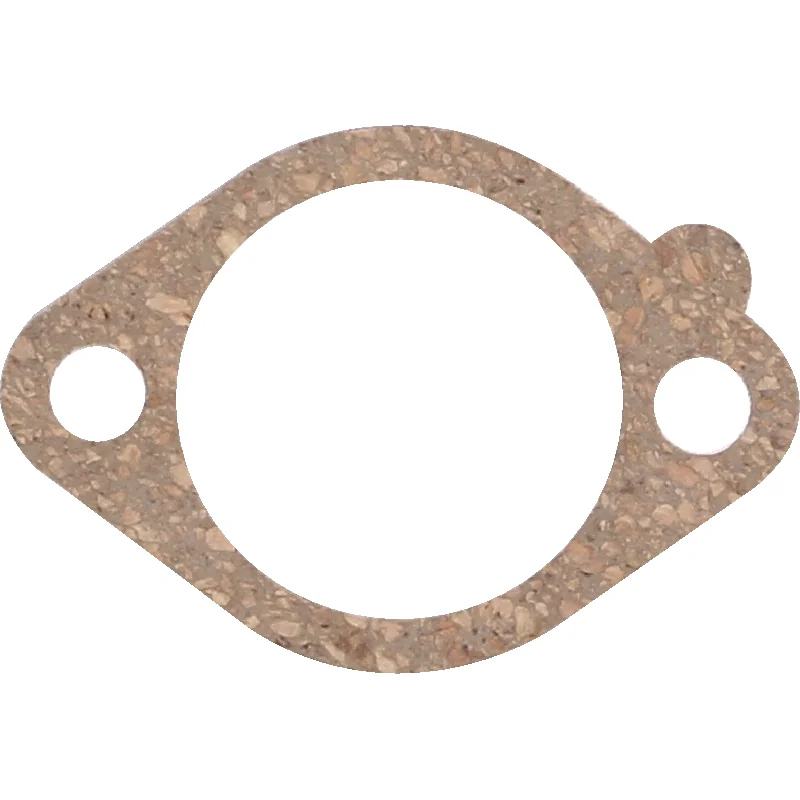 Briggs and Stratton - 272296 - Guarnizione filtro aria