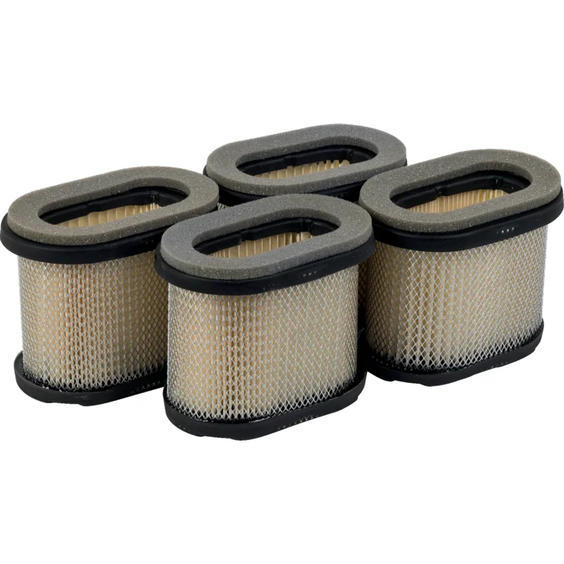 Briggs and Stratton - 4207 - Filtro aria