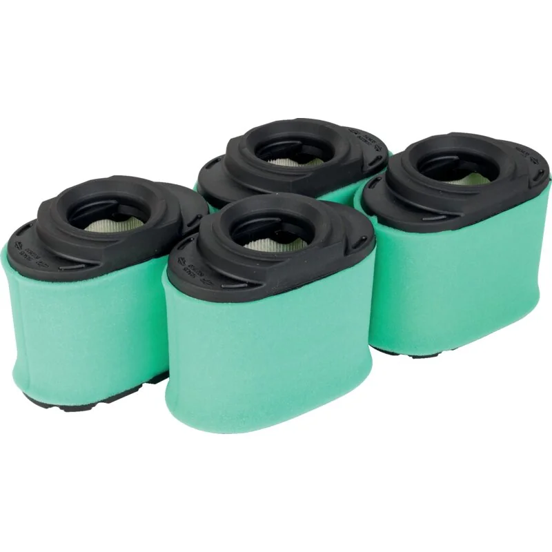Briggs and Stratton - 4233 - Set filtro aria