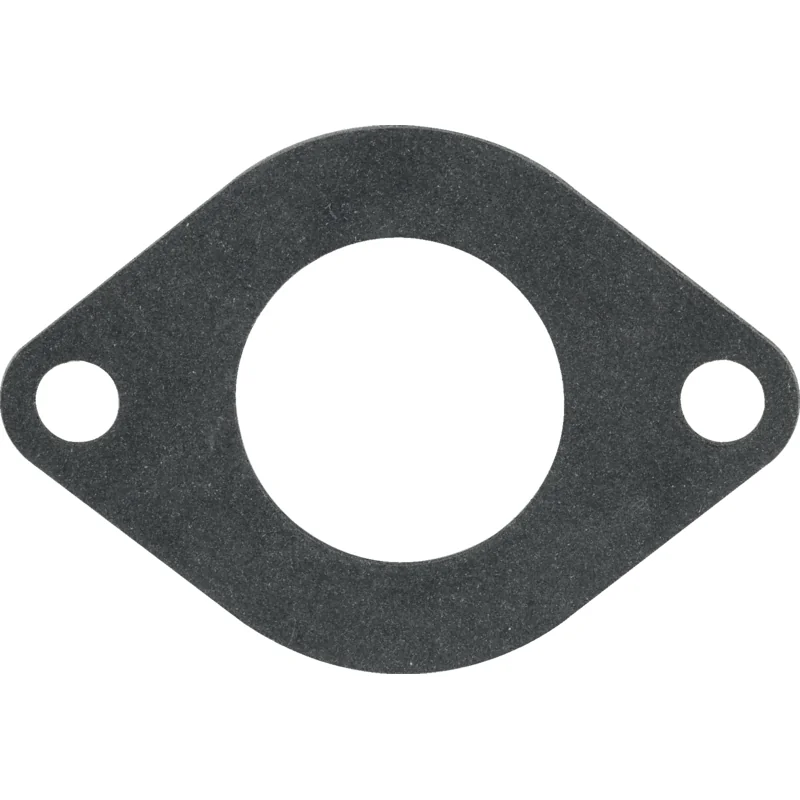 Briggs and Stratton - 590396 - Guarnizione di aspirazione