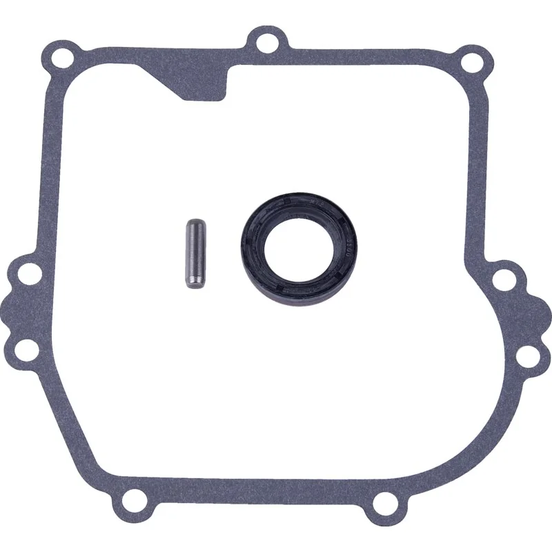 Briggs and Stratton - 590569 - Coppa dell'olio