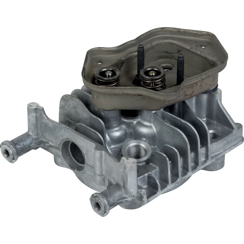 Briggs and Stratton - 595353 - Testa-cilindro