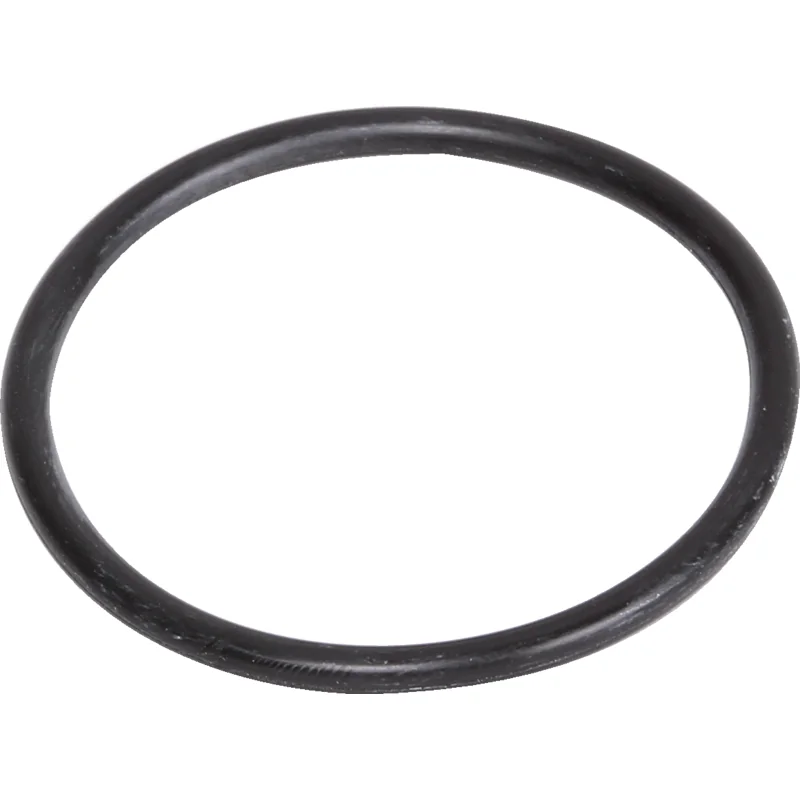 Briggs and Stratton - 690589 - O-ring