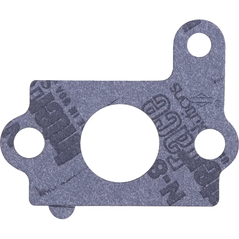 Briggs and Stratton - 692668 - Guarnizione collettore di aspirazione