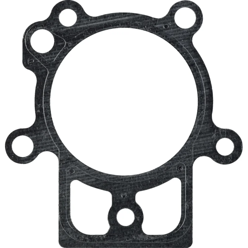 Briggs and Stratton - 694872 - Guarnizione testata