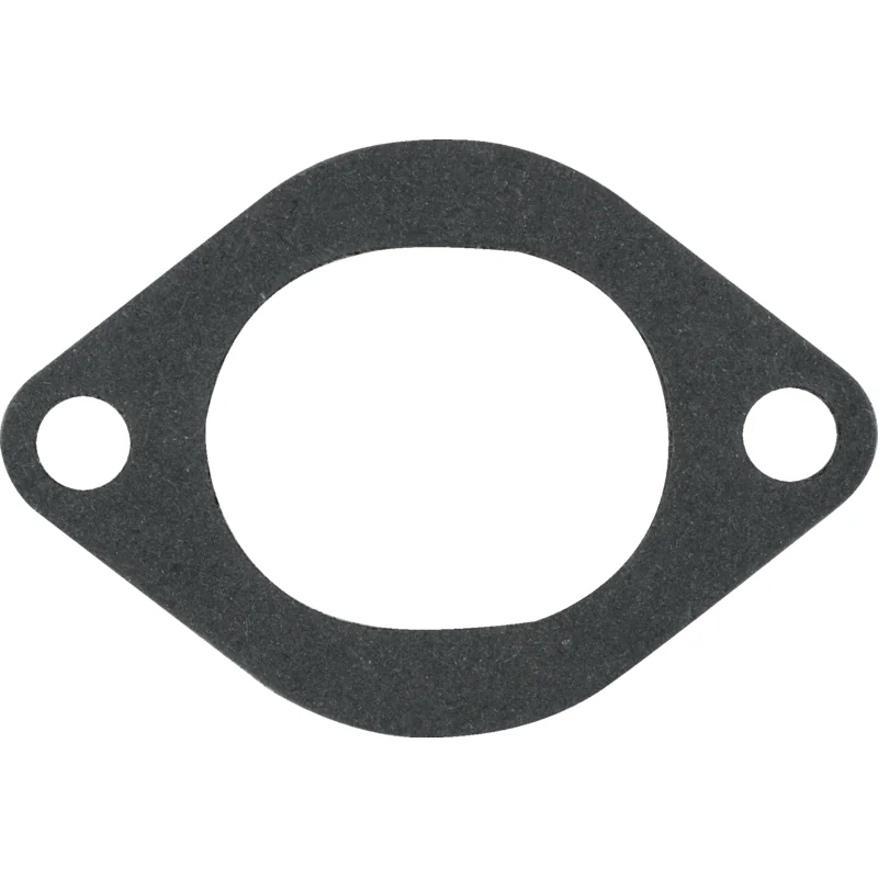 Briggs and Stratton - 694874 - Guarnizione collettore di aspirazione