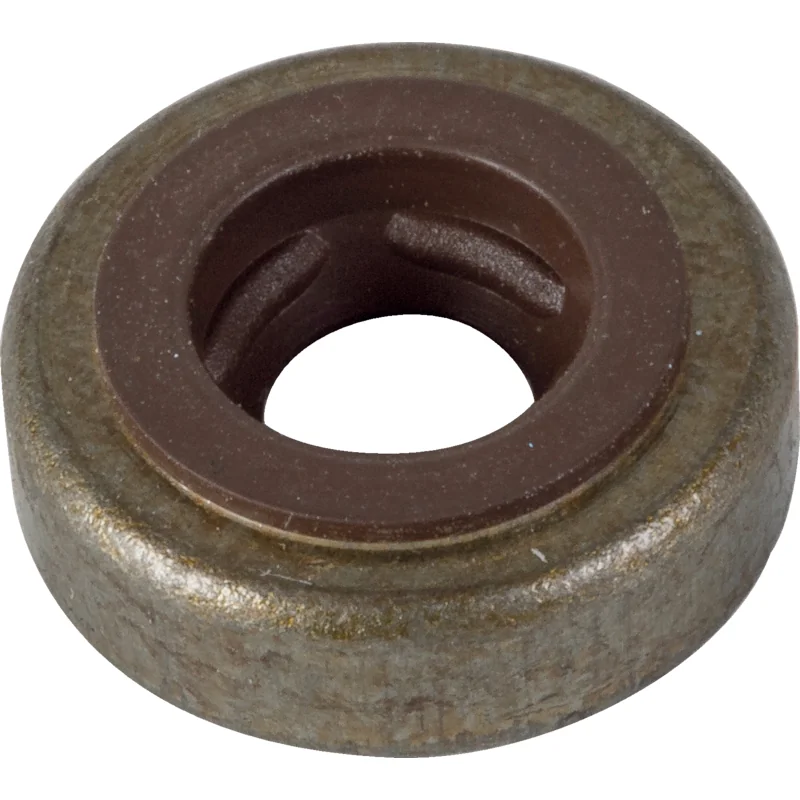 Briggs and Stratton - 695410 - Disco