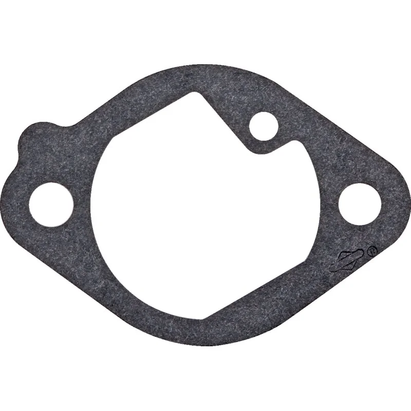 Briggs and Stratton - 699800 - Guarnizione collettore di aspirazione
