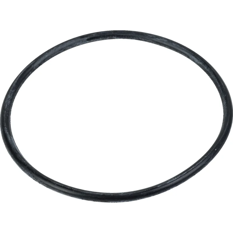 Briggs and Stratton - 793440 - Anello di tenuta