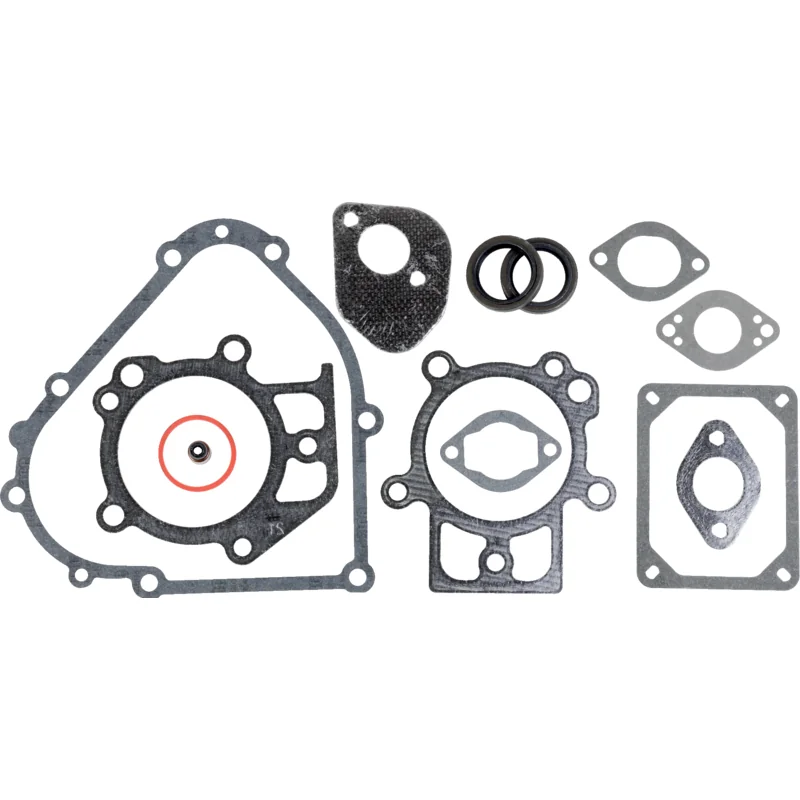 Briggs and Stratton - 795201 - Kit guarnizioni motore