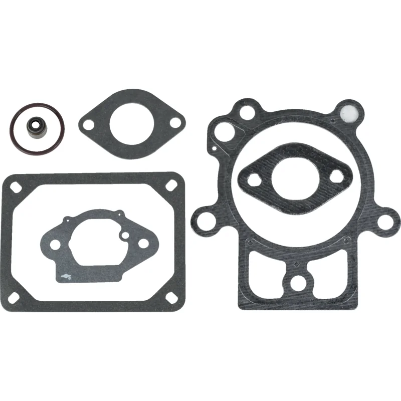 Briggs and Stratton - 798801 - Set guarnizioni testata