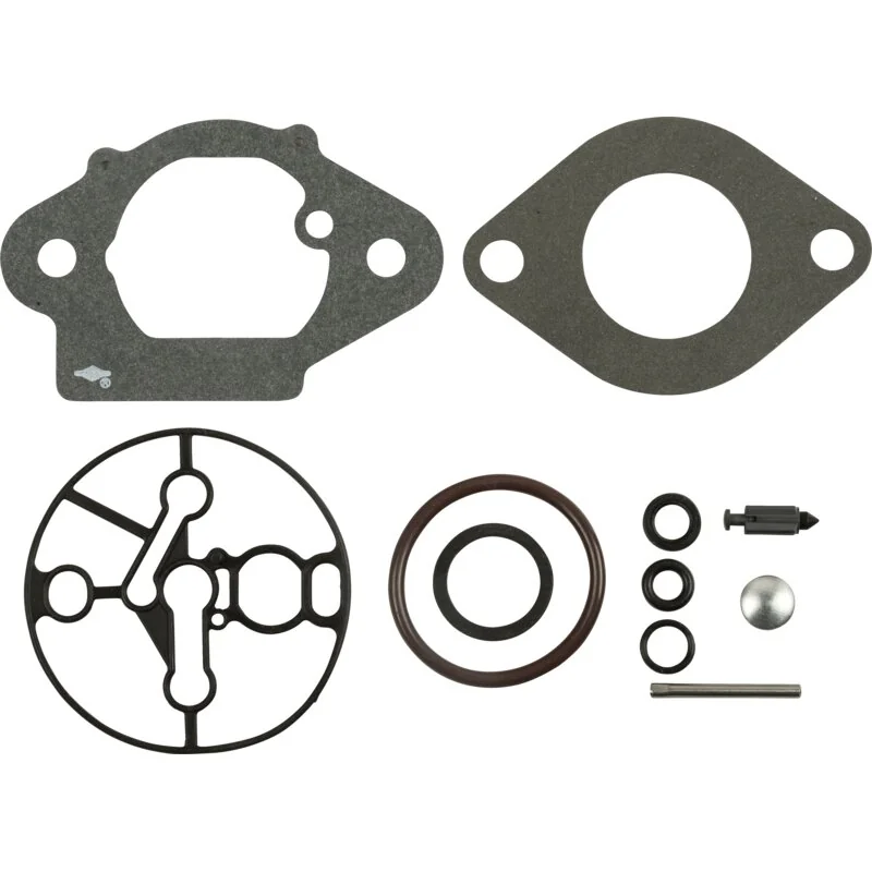 Briggs and Stratton - 799722 - Set revisione carburatore