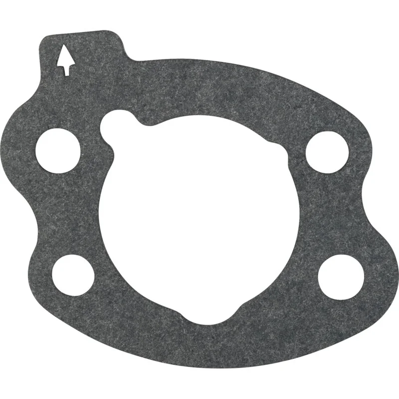 Briggs and Stratton - 844931 - Guarnizione filtro aria