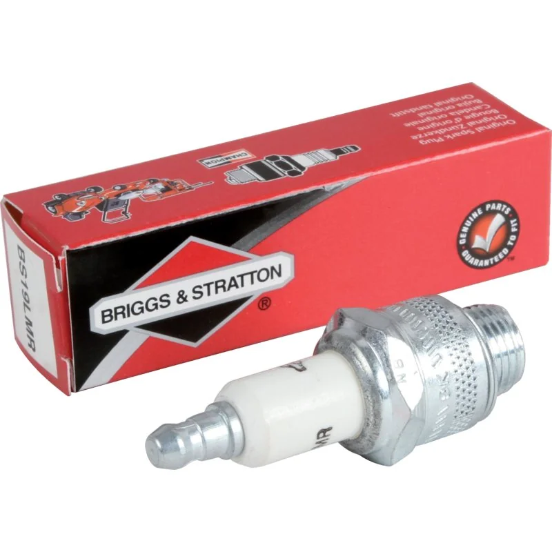 Briggs And Stratton