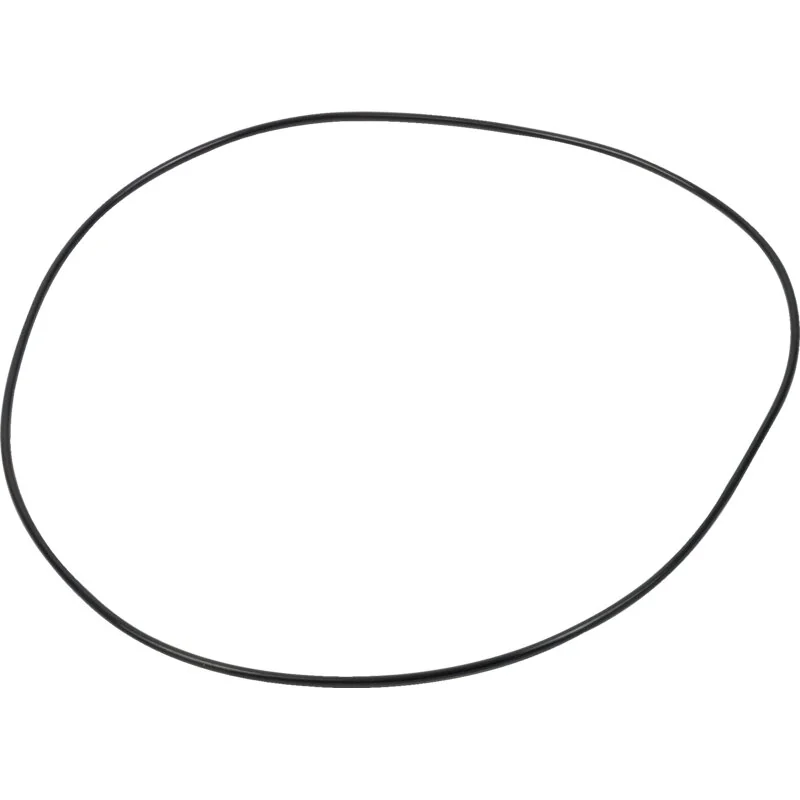 Carraro Achsen - 5194246 - O-ring