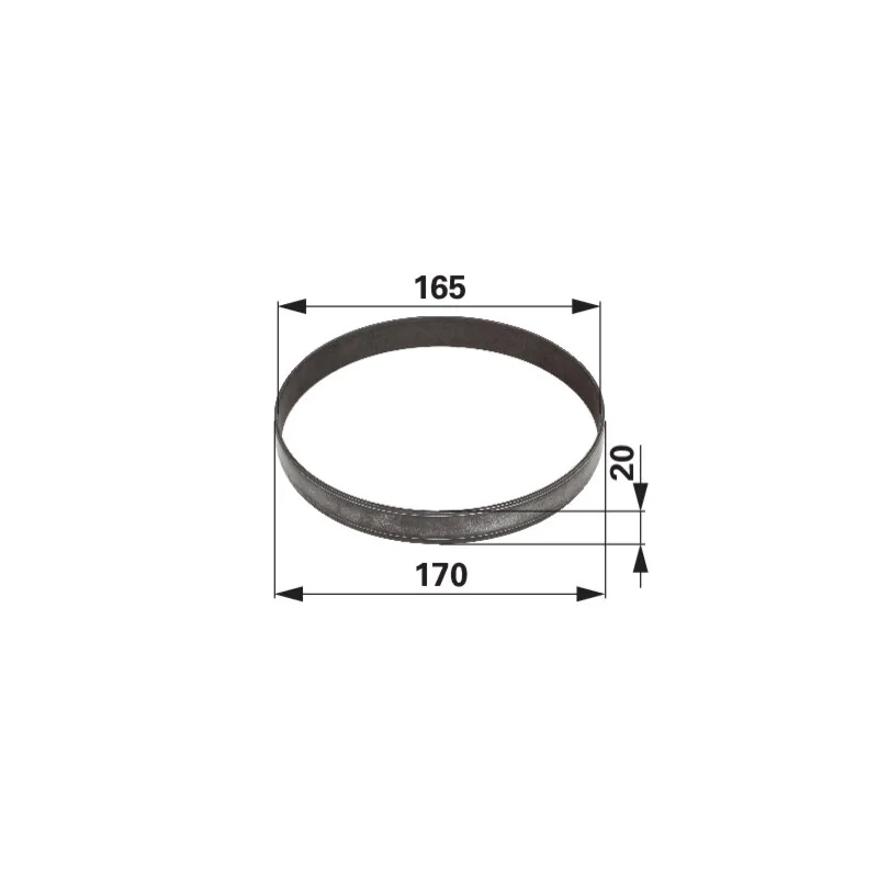 Dana Spicer - 135700411043 - Anello di scorrimento