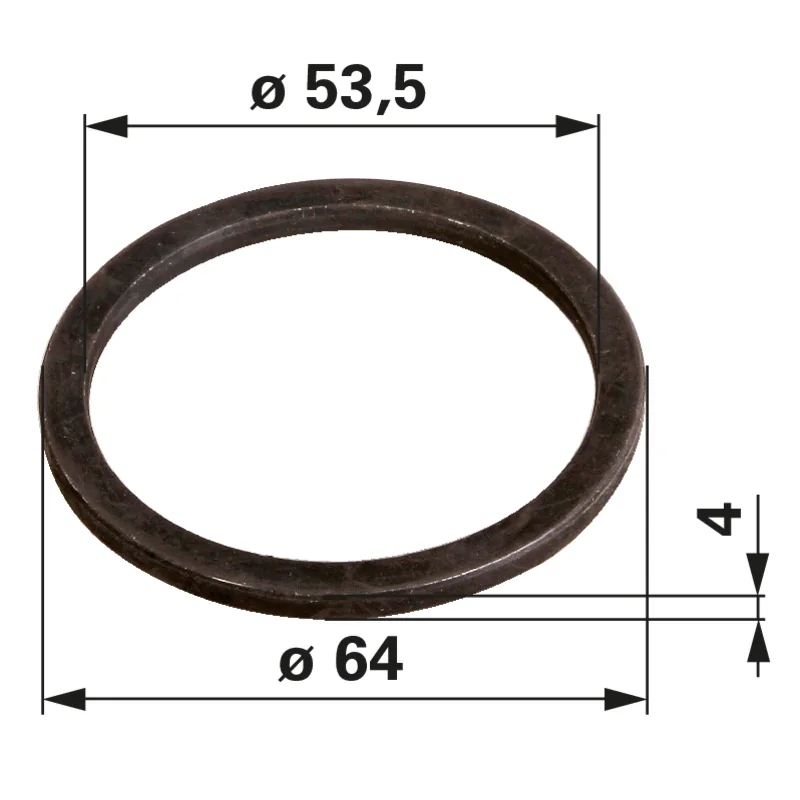 Dana Spicer - 6005009873 - Anello