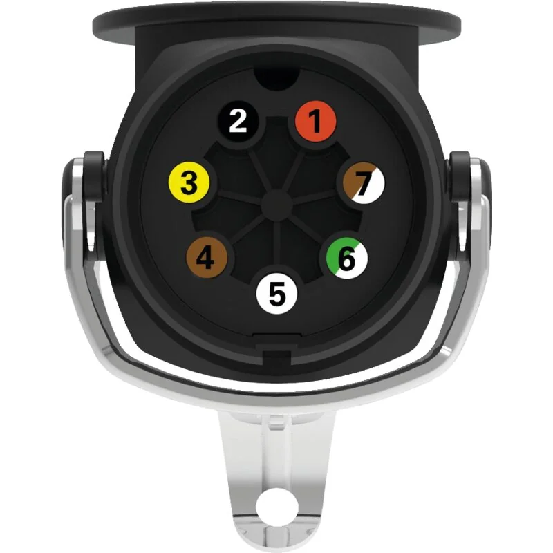 Erich Jaeger - 241004 - Spina