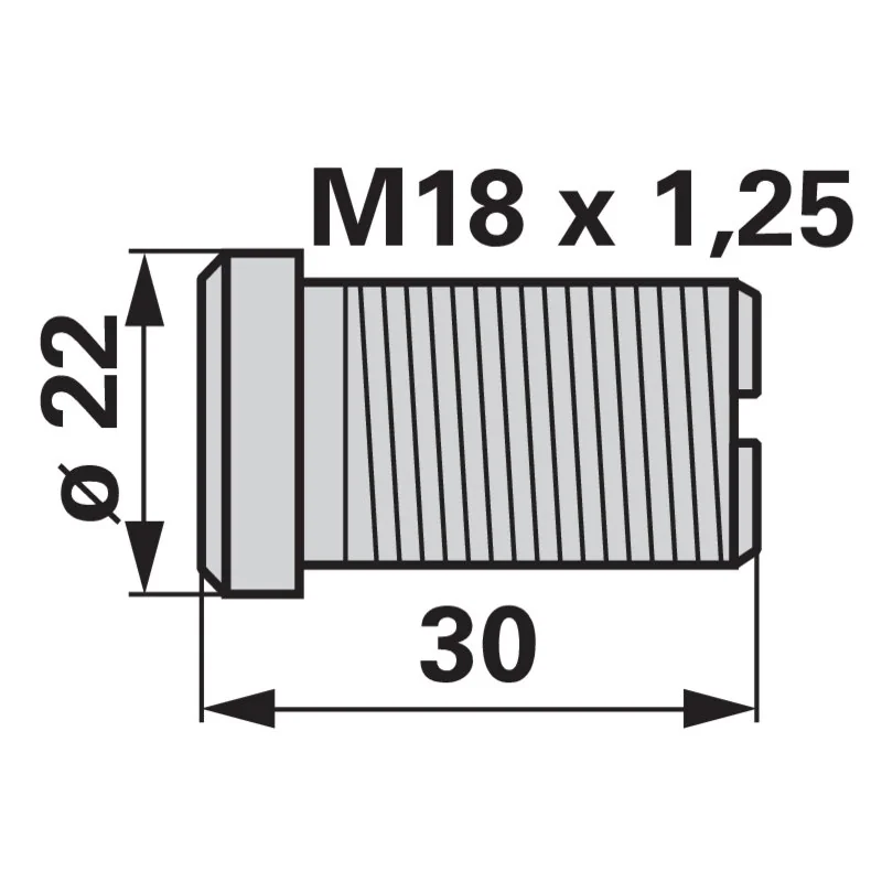 ESM - 323.1310 - Vite tampone